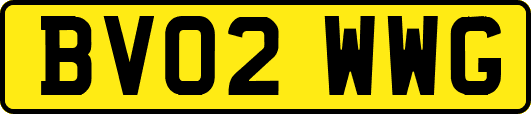BV02WWG