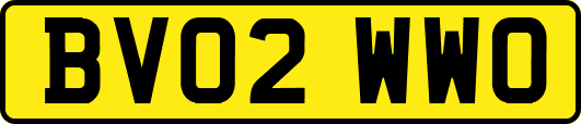 BV02WWO