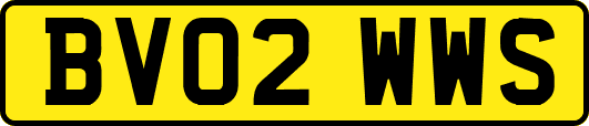 BV02WWS