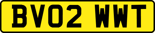 BV02WWT