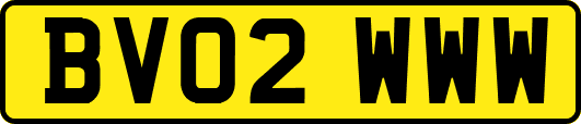 BV02WWW