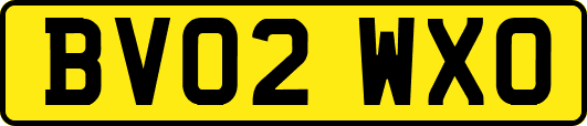 BV02WXO