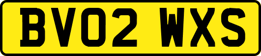 BV02WXS
