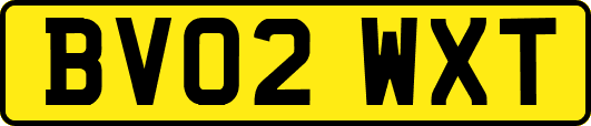 BV02WXT