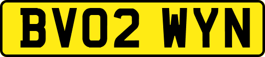 BV02WYN