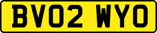 BV02WYO