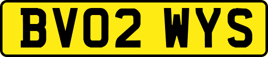 BV02WYS