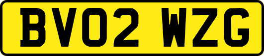 BV02WZG