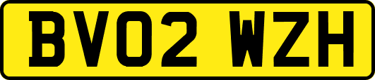 BV02WZH
