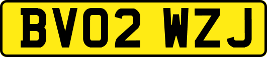 BV02WZJ