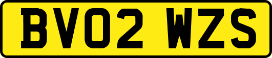 BV02WZS