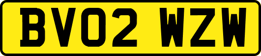 BV02WZW