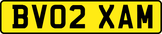 BV02XAM