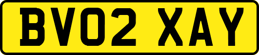 BV02XAY