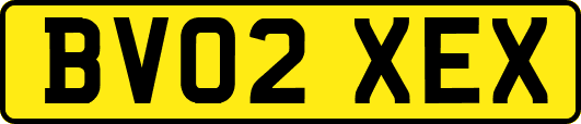 BV02XEX