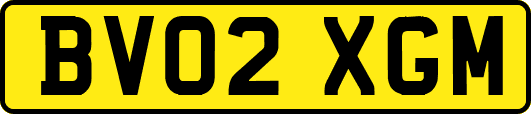 BV02XGM