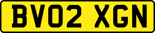 BV02XGN