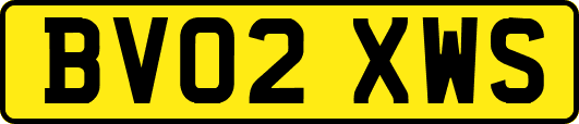 BV02XWS