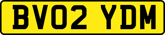 BV02YDM