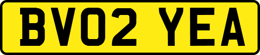 BV02YEA