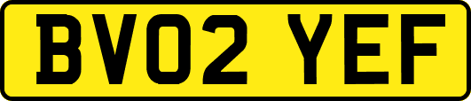 BV02YEF