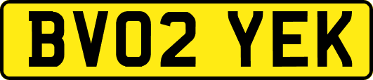BV02YEK