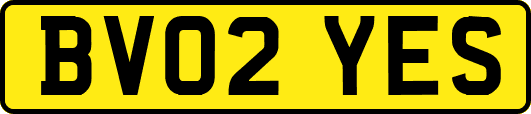 BV02YES