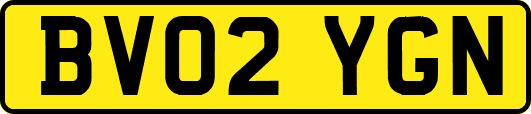 BV02YGN