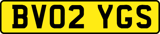 BV02YGS