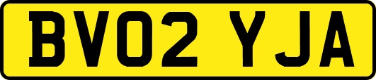 BV02YJA