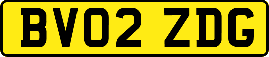 BV02ZDG