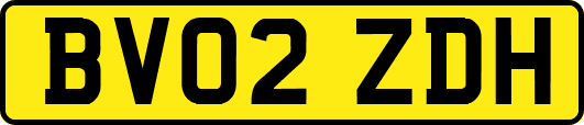 BV02ZDH