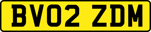 BV02ZDM
