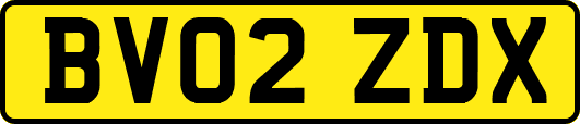 BV02ZDX