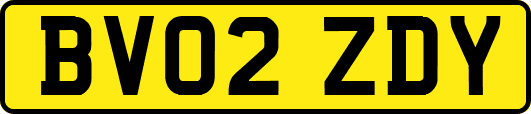 BV02ZDY