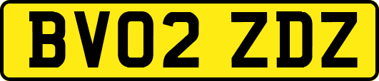 BV02ZDZ