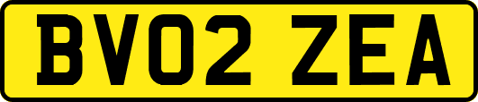 BV02ZEA