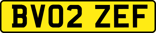 BV02ZEF
