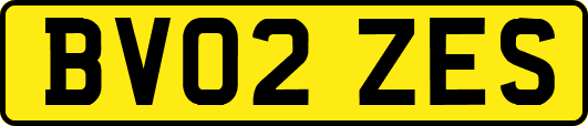 BV02ZES