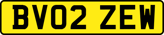 BV02ZEW