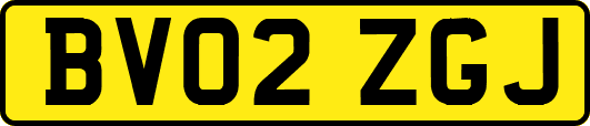 BV02ZGJ