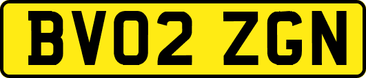 BV02ZGN