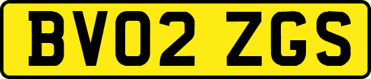 BV02ZGS
