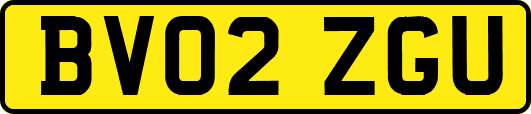 BV02ZGU