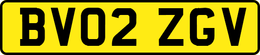 BV02ZGV