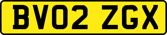 BV02ZGX