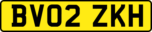 BV02ZKH