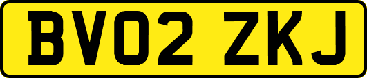 BV02ZKJ