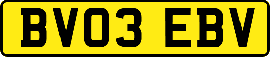 BV03EBV