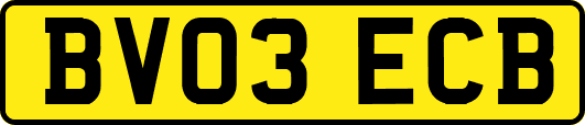 BV03ECB